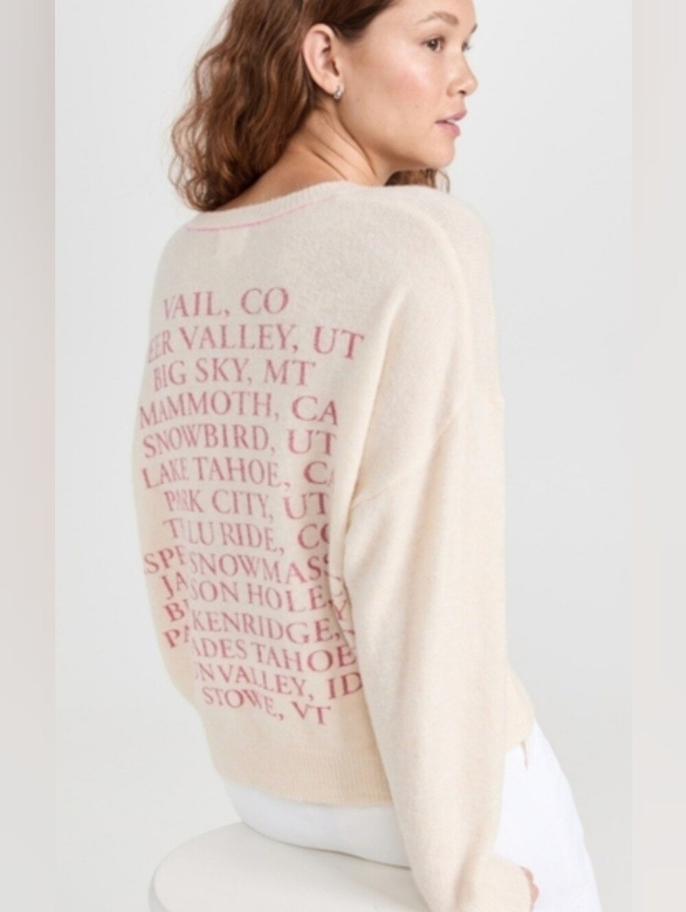 Sundry Destinations Crewneck Sweater Quiet Luxury Ski Lodge Resort Boxy Cozy NWT - Picture 1 of 9